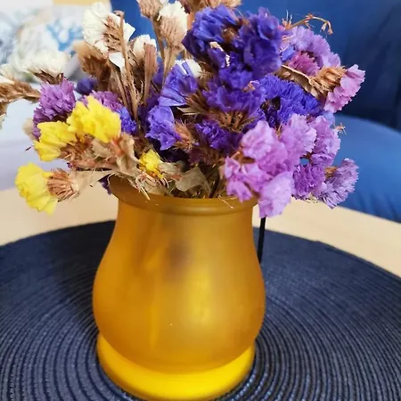 Old Town With Parking Apartment