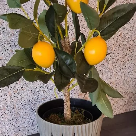 Old Town With Parking Apartment *