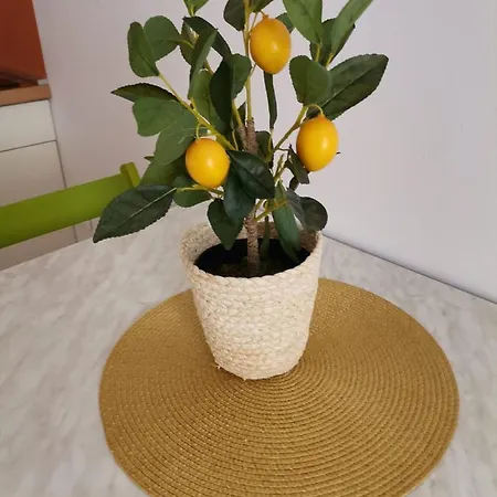 Old Town With Parking Apartment