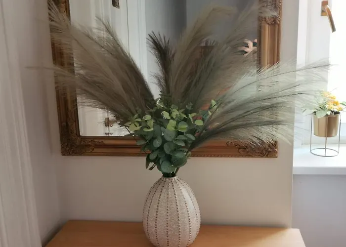 Old Town With Parking Pag Town