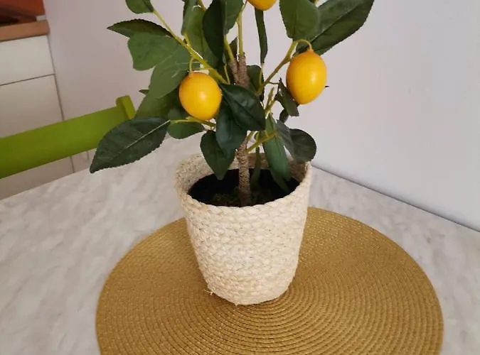 Old Town With Parking Apartment