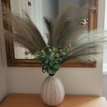 Old Town With Parking باغ