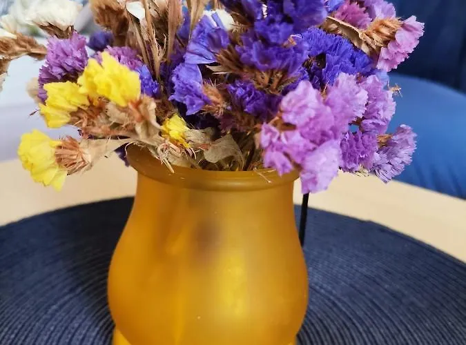 Old Town With Parking 公寓