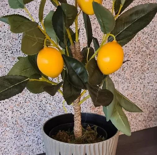 Old Town With Parking 公寓 *